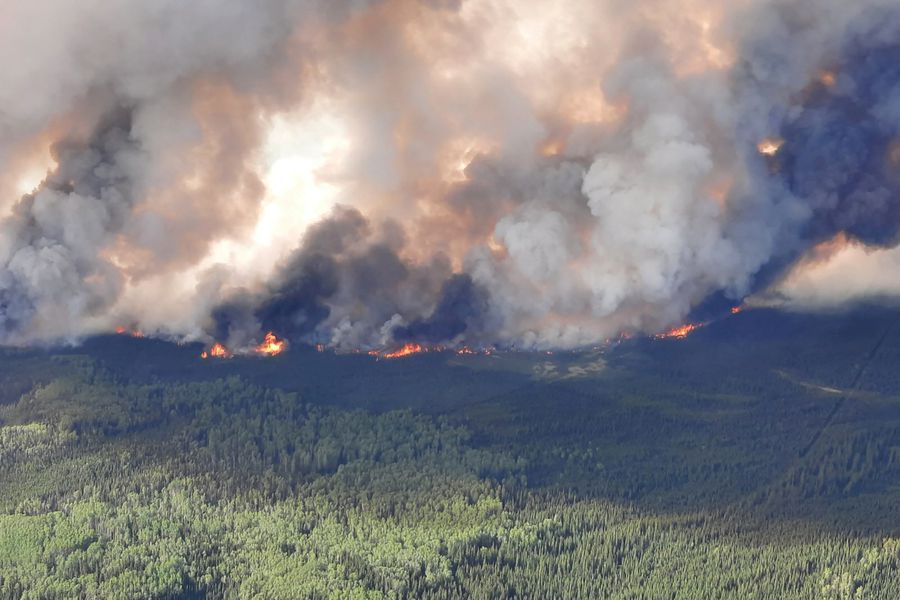 Desalojan A Miles De Personas Por Incendios Forestales En Costa