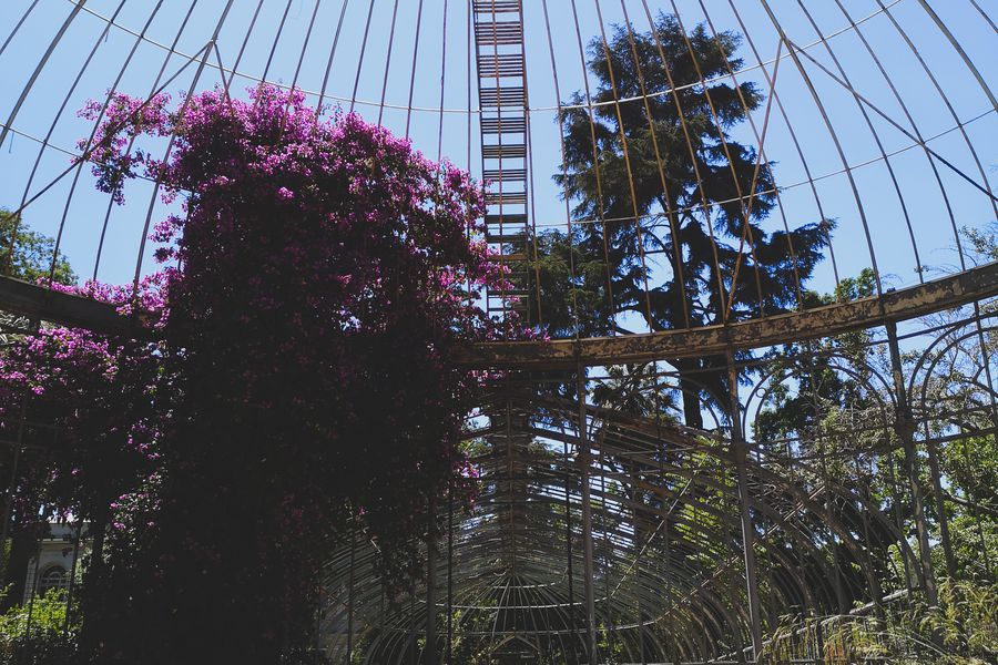 Invernadero de la Quinta Normal