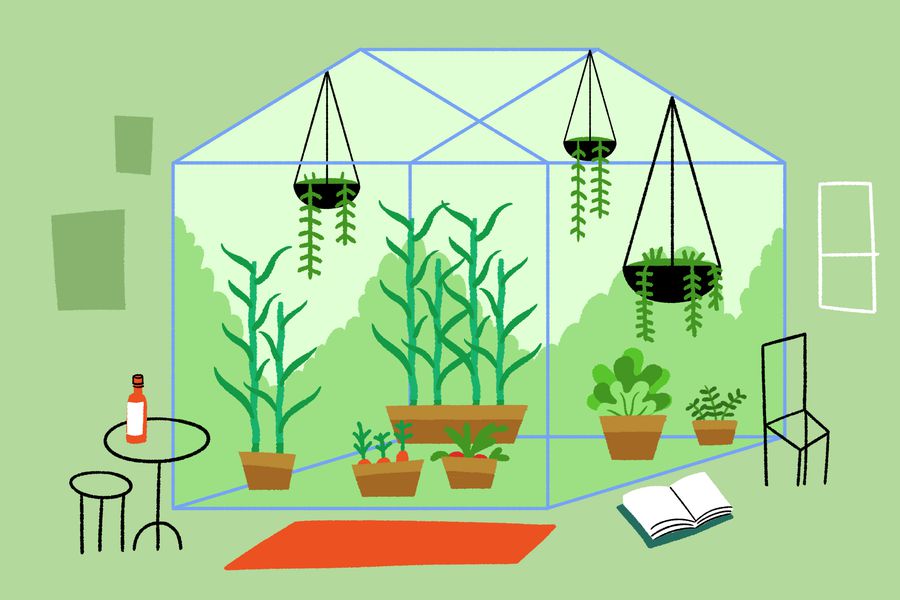 Plantas en invierno: cómo cuidarlas y no fallarles durante las bajas temperaturas