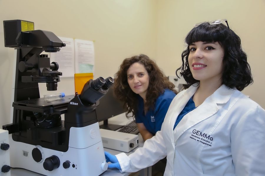 Científicos chilenos realizan prometedor estudio para detectar biomarcadores para diagnóstico precoz de cáncer gástrico