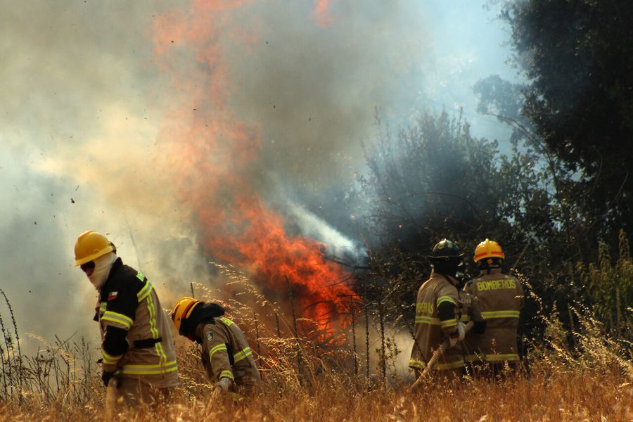 Onemi declara Alerta Roja en dos comunas de O’Higgins por incendios forestales