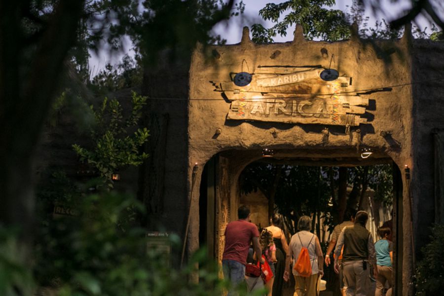 Aventuras Nocturnas Buin Zoo 2023: fechas y precios