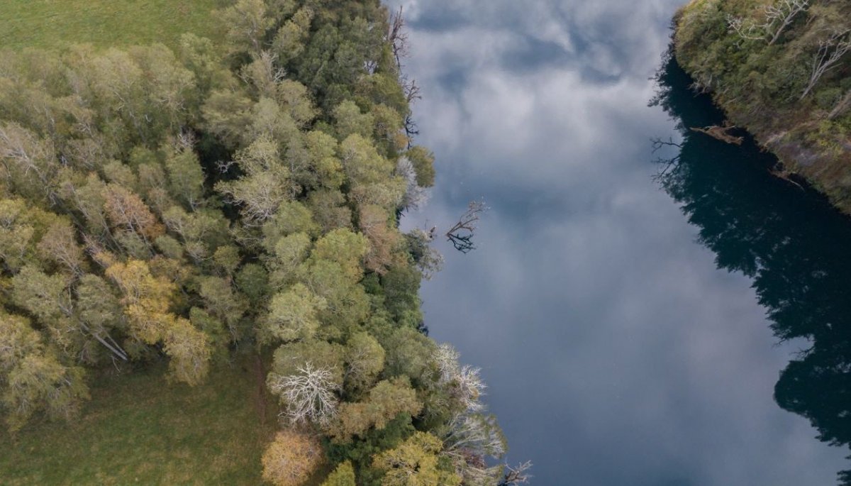 Statkraft desiste de proyecto hidroeléctrico por impacto en sitio cultural y espiritual mapuche-huilliche