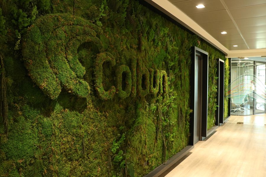 Ganancias de Colbún disminuyen en 2022, pero suben los ingresos