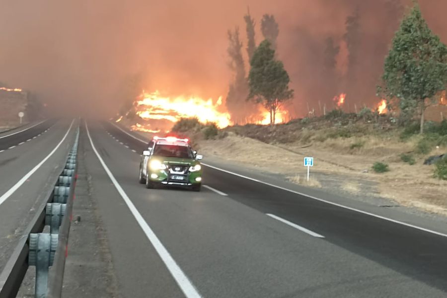 Ñuble: Carabineros corta el tránsito de la Ruta del Itata por incendio forestal cerca de la Celulosa Arauco