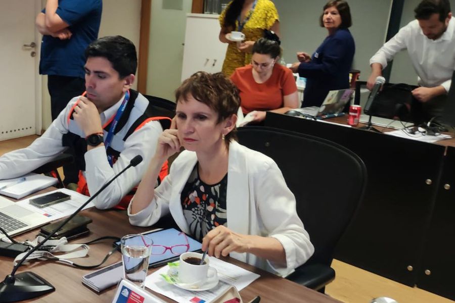 Gobierno decreta Estado de Catástrofe para Región de Ñuble por incendios forestales: hay 69 viviendas afectadas