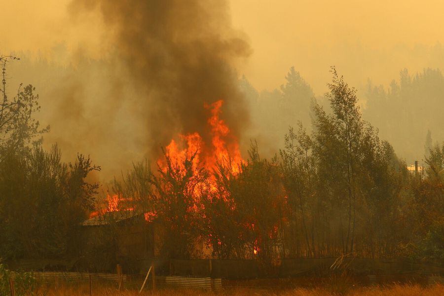 Confirman sexto fallecido por incendios forestales en La Araucanía: víctimas fatales llegan a 23 a nivel nacional