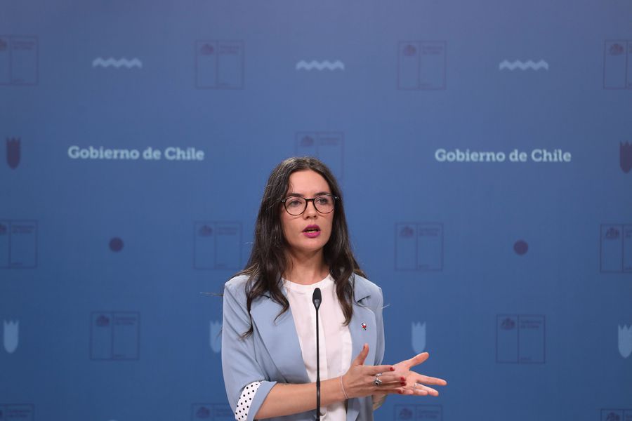 Ministra Vallejo proyecta que extinción de incendios podría prolongarse hasta “primera quincena de marzo”