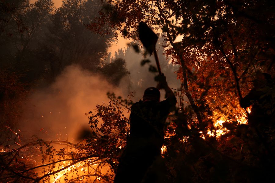 Incendios forestales y la nueva amenaza global