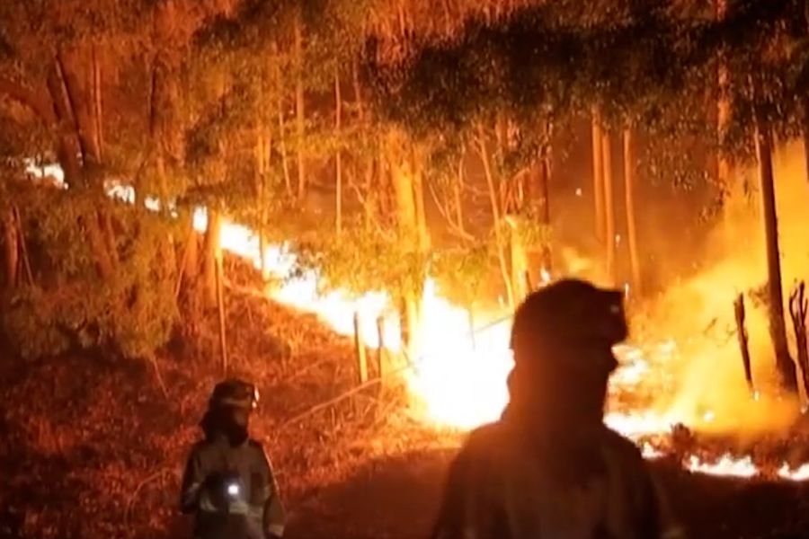 Idea del gobierno de regular la industria forestal es criticada por Corma y CPC