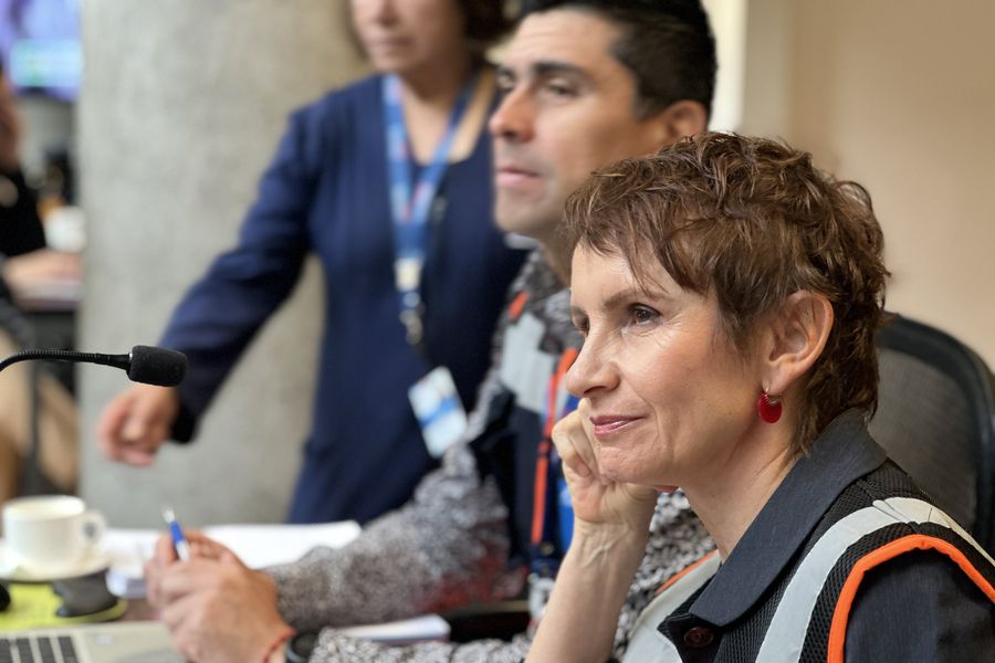 Tohá cierra la puerta a un royalty forestal