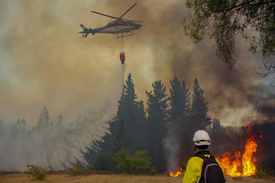 Balance incendios forestales: 220 incendios activos, 55 en combate y 38 personas detenidas