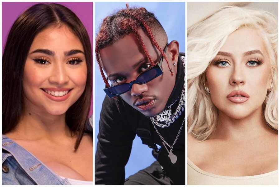 Cuales son las exigencias de los artistas de Viña