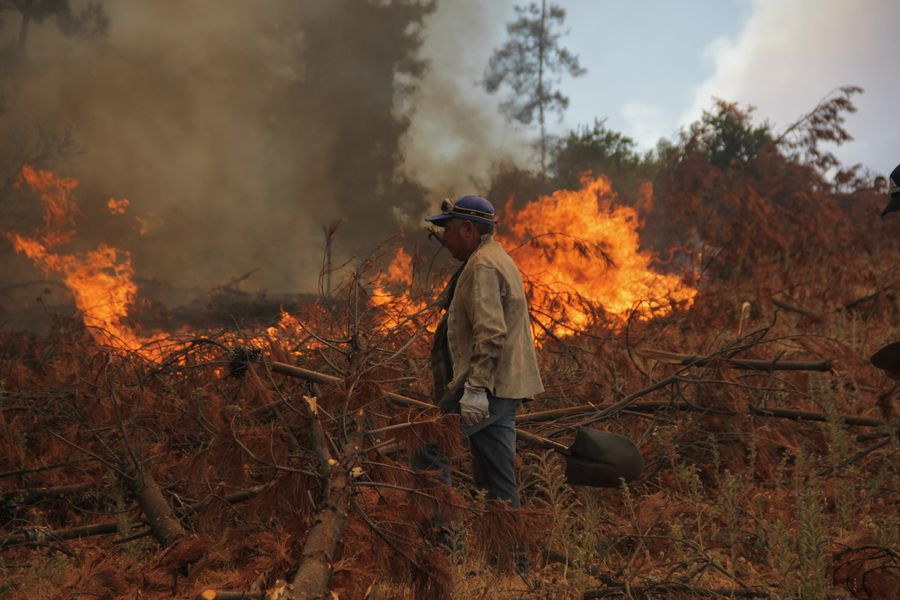 Los daños tras más de 20 días de emergencia: 77% de los damnificados son del Biobío y 25% de hectáreas consumidas están en La Araucanía