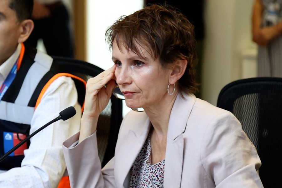 “Si hay dudas con las cifras, que lo vean los técnicos”: El debate que se generó en el Senado por la intencionalidad de los incendios