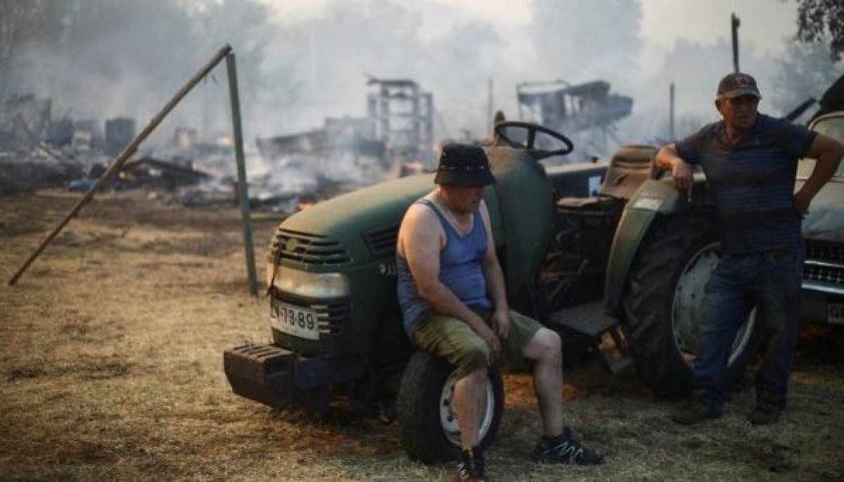 CMF pidió a aseguradoras informar exposición a siniestros en zona afectada por incendios