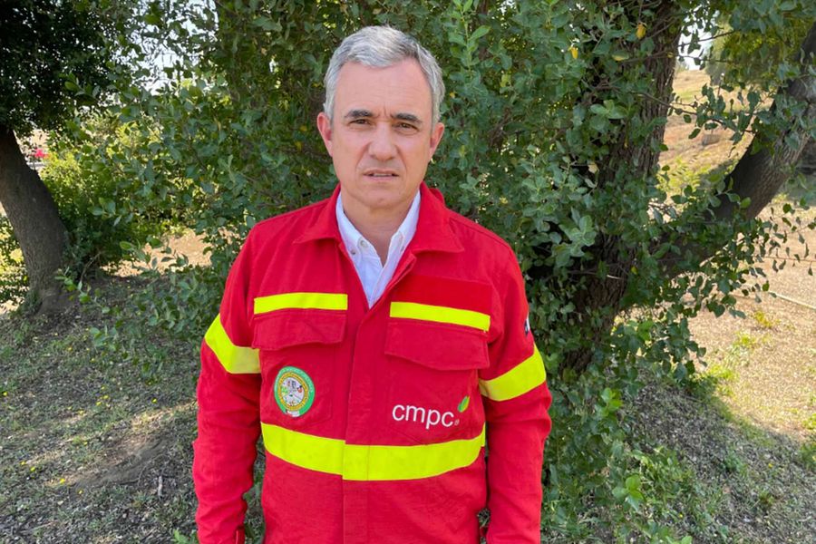 CMPC frente a los incendios: “Si no se evitan la delincuencia e intencionalidad, esto no para”