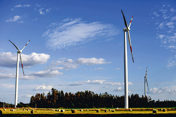 Corte de Apelaciones de Antofagasta rechaza recurso de protección de GPG Solar Chile en contra del Coordinador Eléctrico