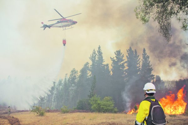 Experto explica cómo el cambio climático aumenta el riesgo de incendios forestales