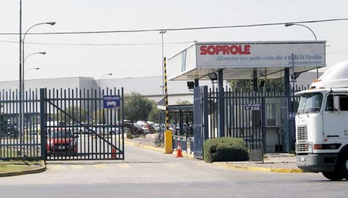 FNE autoriza venta de Soprole