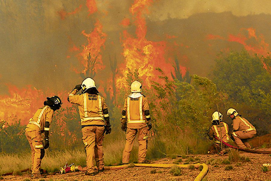 Investigación de incendios forestales – La Tercera