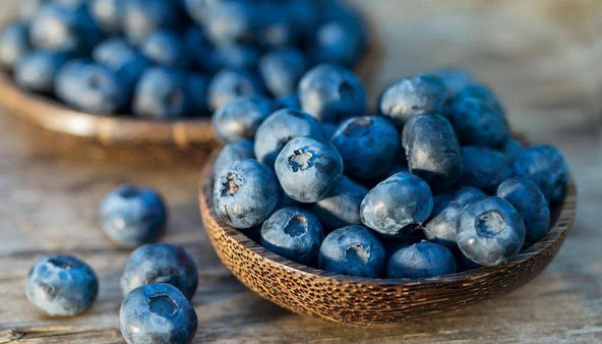 Los arándanos chilenos logran un buen desempeño en China durante el Año Nuevo Lunar
