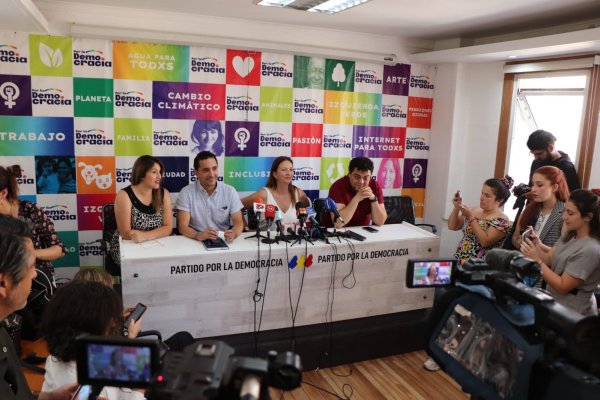 PPD ratifica decisión de ir en dos listas a la elección del Consejo Constitucional