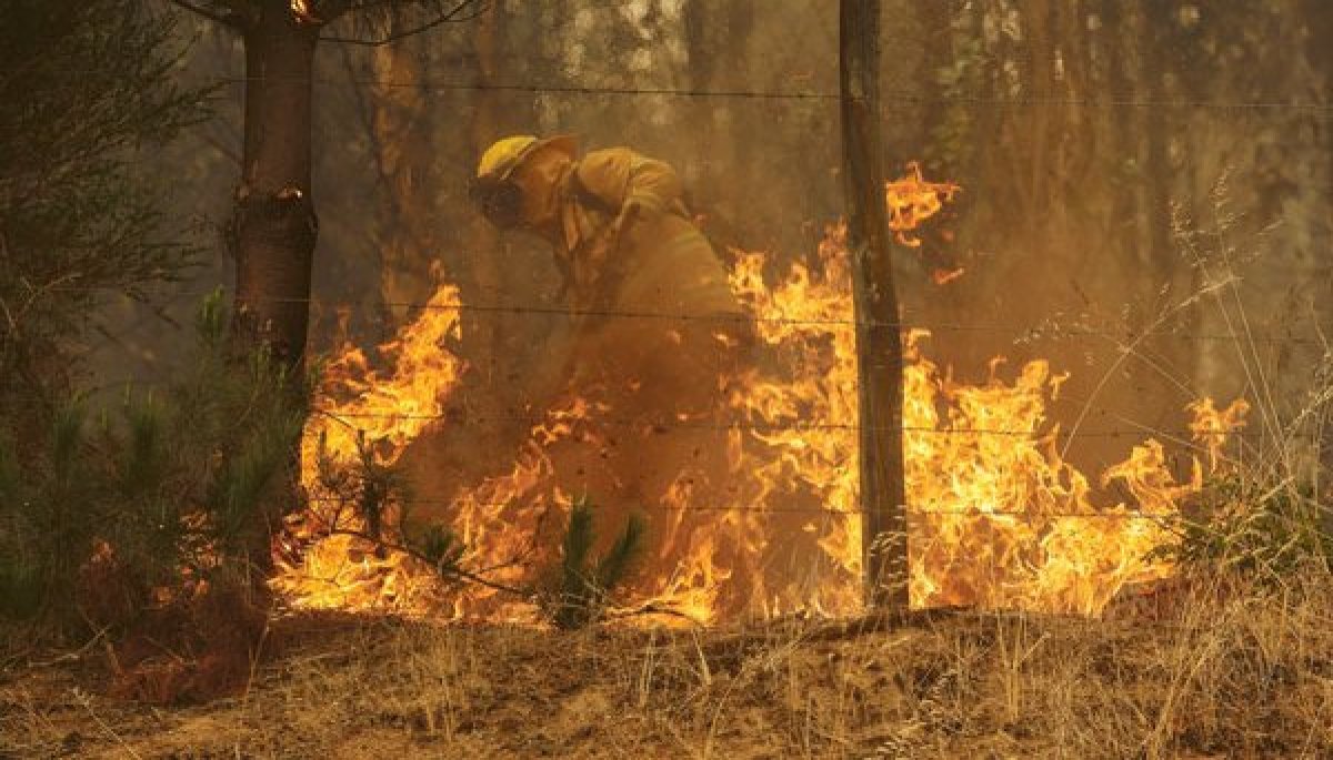 Saltos del Laja, Lago Lanalhue y Araucanía Andina: las zonas turísticas más afectadas por los incendios
