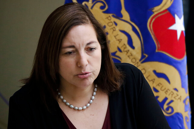 Timonel PS confirmó que en la Comisión Política se definirá si ir en una o dos listas