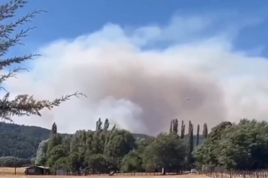 Alerta roja en Lautaro por incendio forestal cercano a casas