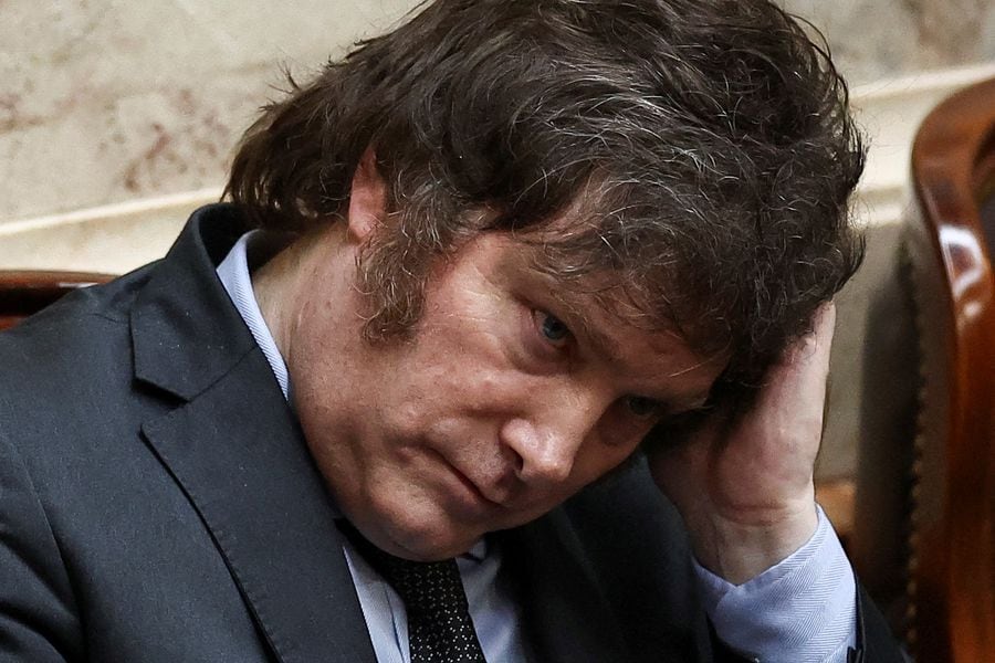 Senadores kirchneristas piden sesión especial para derogar megadecreto del gobierno de Milei