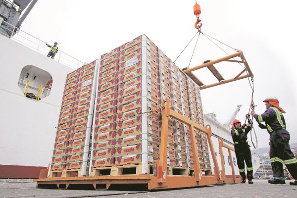 23 exportadoras chilenas acuden a la Corte Suprema para revertir resolución del TDLC