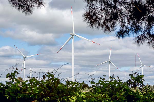 Más allá de una tendencia: los números y las apuestas detrás de los productos financieros “verdes” en la banca