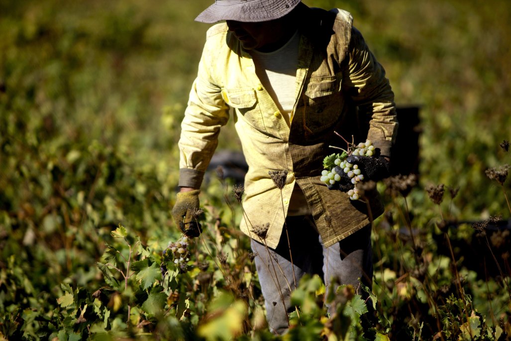 Con consulta pública se activa trabajo para plan de adaptación de cambio climático en el sector silvoagropecuario