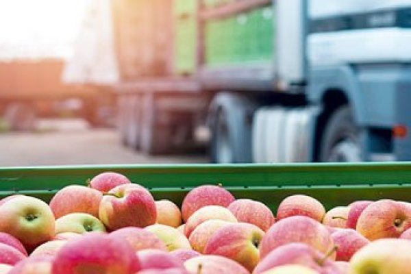 Exportadoras chilenas demandan a naviera ante la justicia en EEUU