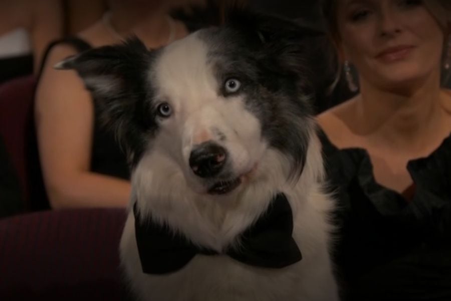 Cómo empezaron los Oscar 2024