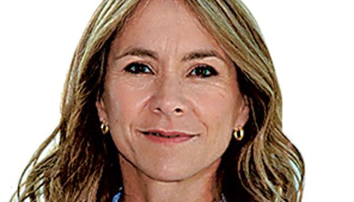 Mejor institucionalidad para agilizar los permisos