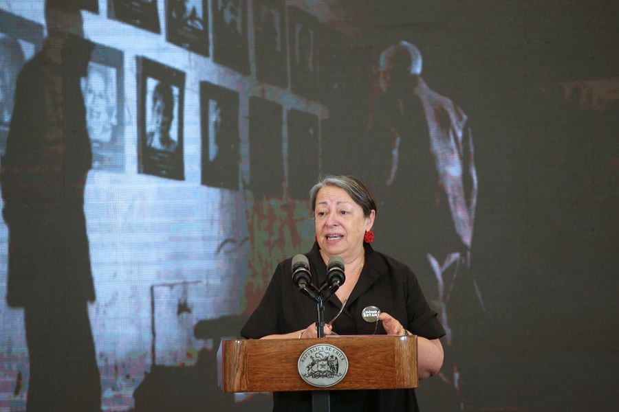 Lesa humanidad: esquirlas por dichos de directora del INDH