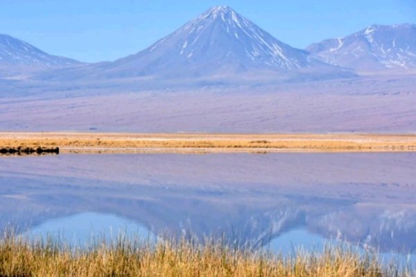 Comunidad de Coyo dice que acuerdo Codelco-SQM “vulnera gravemente” los “derechos humanos, ecosistema y cuencas” del Salar de Atacama