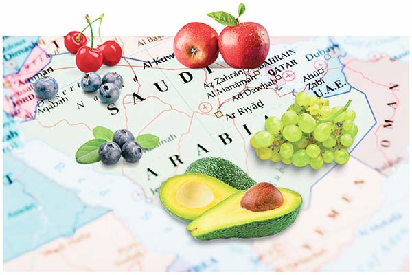 Los jeques árabes de la fruta expanden su negocio desde Chile