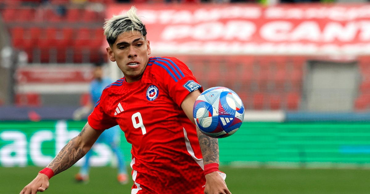 Sudamérica reacciona a la salida de la Roja de Palacios