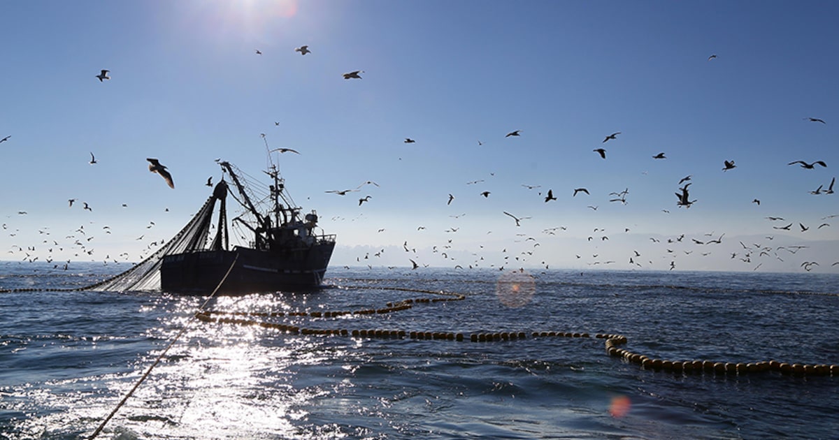 Chile y Sudáfrica suscriben acuerdo de cooperación en pesca