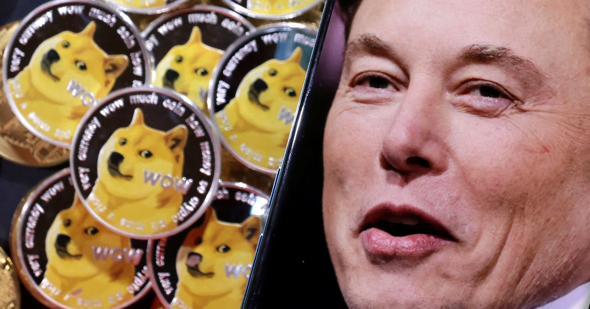 DOGE: Por qué Trump nombró como un meme al departamento que liderará Elon Musk