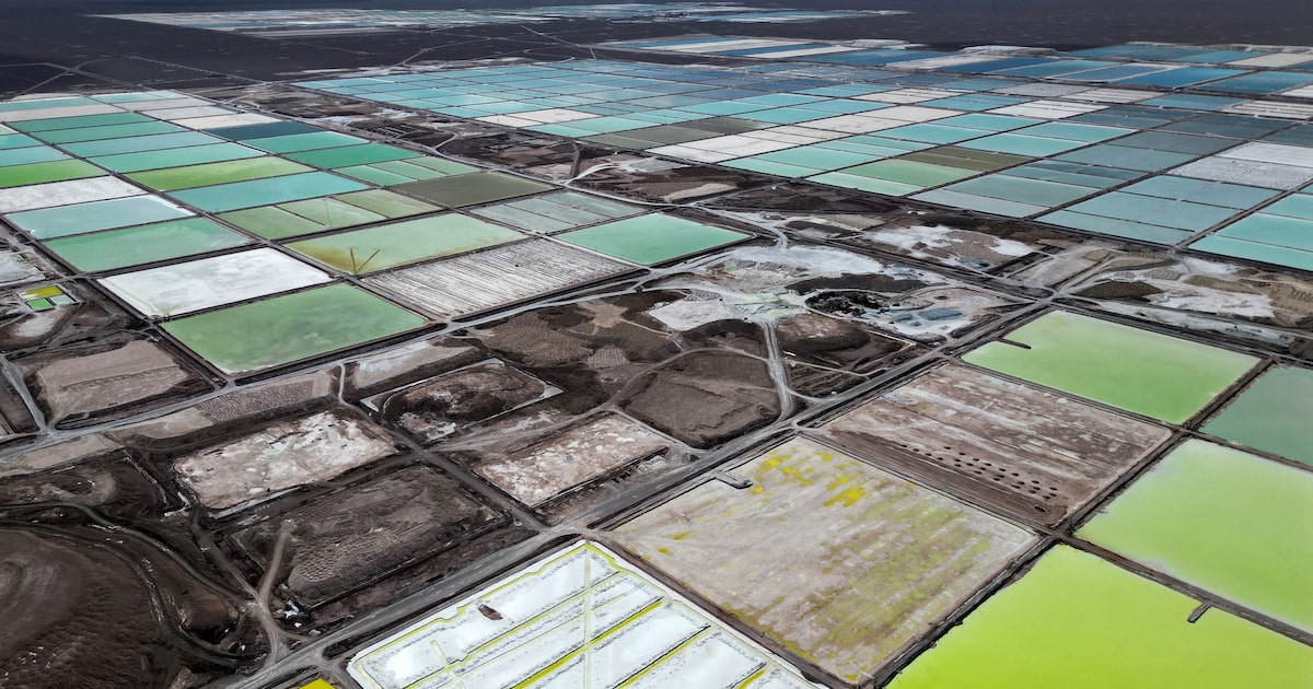 El informe del excontralor Jorge Bermúdez que respalda la solicitud de Albemarle para revisar permisos ambientales en el salar de Atacama