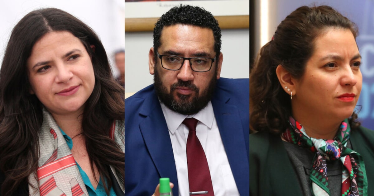 Los ministros que descartan buscar una carrera parlamentaria