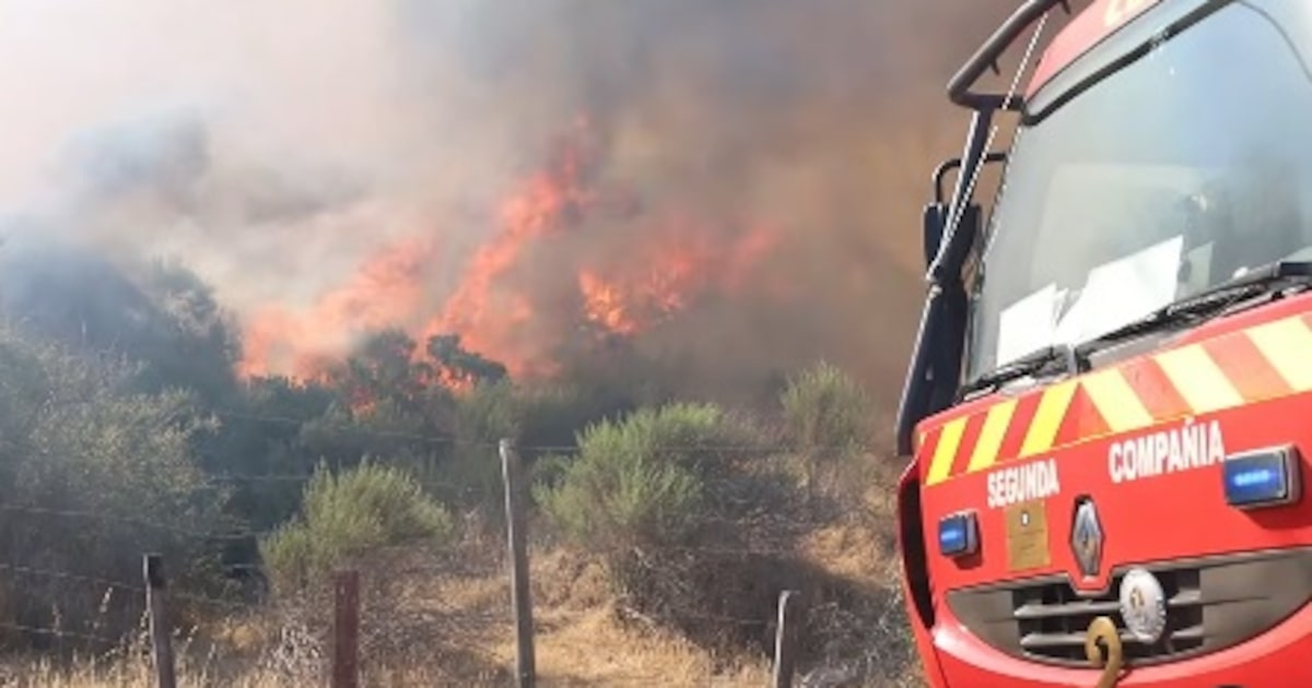 Alerta roja por incendio en Catemu: 100 hectáreas y dos casas afectadas
