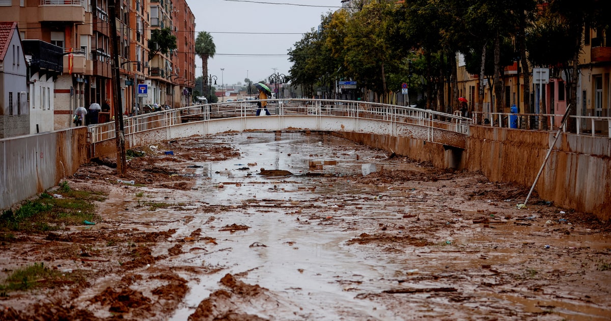 Columna de Maisa Rojas y Carlos Montes: Ciudades en riesgo