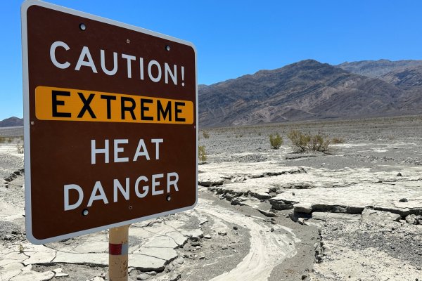 2024 será el año más caluroso jamás registrado y el inicio de 2025 no parece mejor