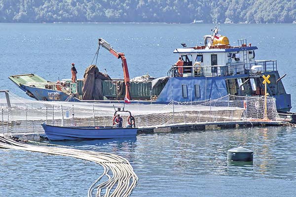 Abogado de Quiroga responde por formalización