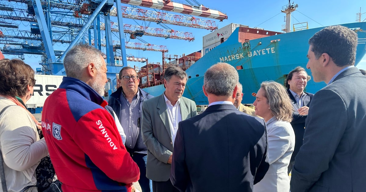 Valenzuela sostiene que hay “un peak de envíos” de cerezas